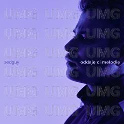 oddaje ci melodie - sedguy
