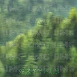 Evergreen - Gryffin, Au/Ra