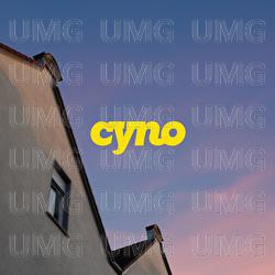 Fenster - CYNO