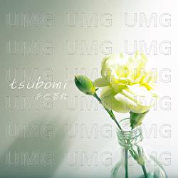 tsubomi - SenyaChamaru