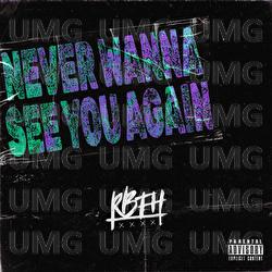 Never Wanna See You Again - rock band from hell