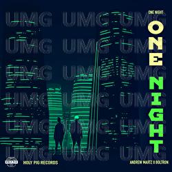 One Night - Andrew Martz, Holy Pig, Boltron