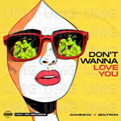 Don't Wanna Love You - Gaminow, House Music Bro, Boltron