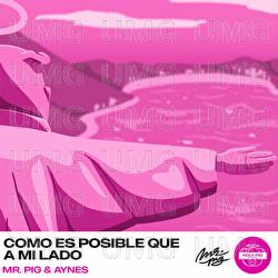Como Es Posible Que a Mi Lado - Mr. Pig, Aynes