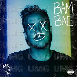 Bam Bae - Mr. Pig