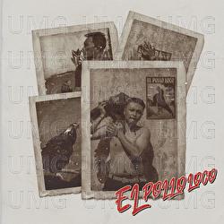 El Pollo Loco - Seven Seventy