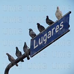Lugares - NIZZ