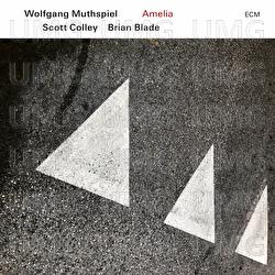 Amelia - Wolfgang Muthspiel, Scott Colley, Brian Blade