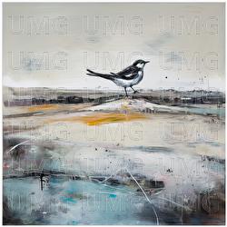 The White Wagtail - Judith Cohen