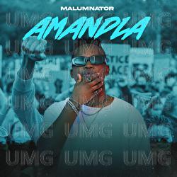 Amandla - MalumNator