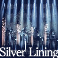 Silver Lining - Straightener