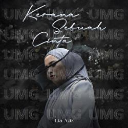 Kerana Sebuah Cinta - Lia Aziz