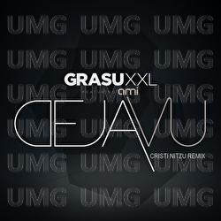 D&eacute;j&agrave; Vu - Grasu XXL, AMI, Cristi Nitzu