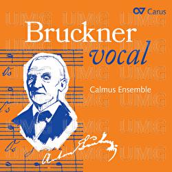 Bruckner Vocal - Calmus Ensemble, Robin Gaede