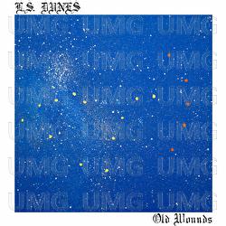 Old Wounds - L.S. Dunes
