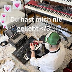 Du hast mich nie geliebt