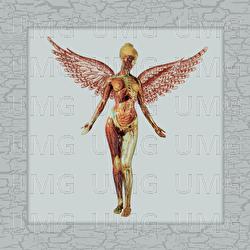 In Utero 30th Live - Nirvana