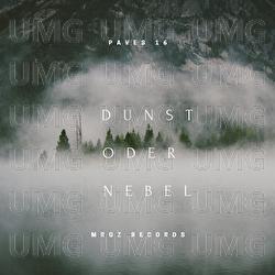 Dunst oder Nebel - Paves 16