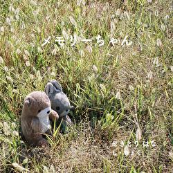 Memory - Hana Sekitori