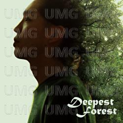 Deepest Forest - Shunsk&eacute; G