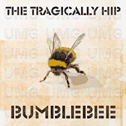 Bumblebee - The Tragically Hip