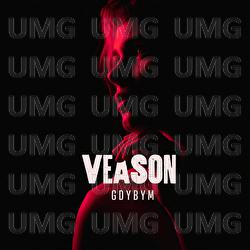 Gdybym - Veason