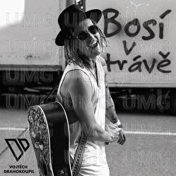 Bosi v trave - Vojtěch Drahokoupil