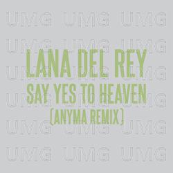 Say Yes To Heaven - Lana Del Rey, Anyma