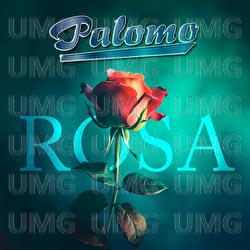 Rosa - Palomo