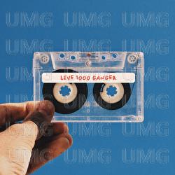 Leve 1000 ganger - Vidar Villa