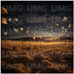 Perpetual Night - Javi Lobe