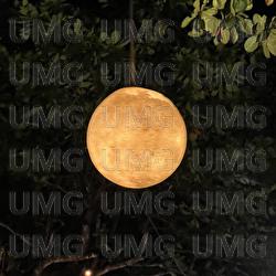 nocturnal whispers - Jonas Hoffmann