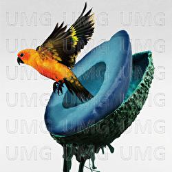 Division - KAMI WA SAIKORO WO FURANAI