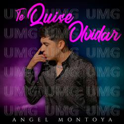 Te Quise Olvidar - Angel Montoya