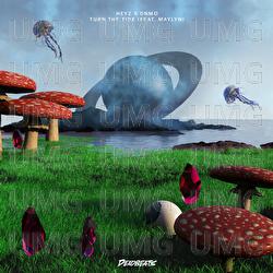 Turn The Tide - Heyz, DNMO, MAYLYN