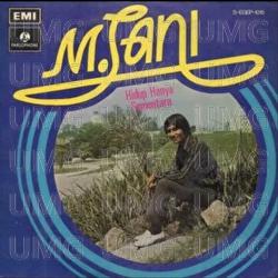 Hidup Hanya Sementara - M Sani