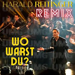 Wo warst Du (Remix) - Harald Reitinger