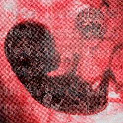 Moshpit v utrobi - AveKucher, Zelinsky