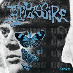 Appassire - Ganzo