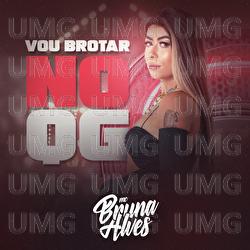 Vou Brotar No QG - MC Bruna Alves