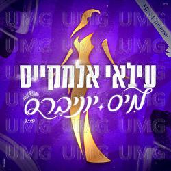 Miss Univers - Ilay Elmakys