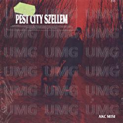 Pest City Szellem - AKC Misi