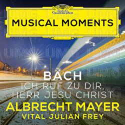 J.S. Bach: Ich ruf zu dir, Herr Jesu Christ, BWV 639 (Adapt. Tarkmann for Oboe d'amore and Harpsichord) - Albrecht Mayer, Vital Julian Frey