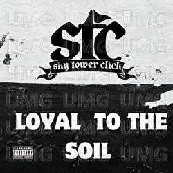 Loyal To The Soil - Sky Tower Click