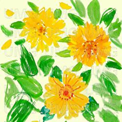 Blooms in Spring - Onbee