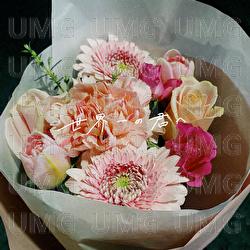 To you, the best in the world - Toshiki