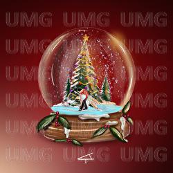 A Waltz For Christmas - Tony Ann