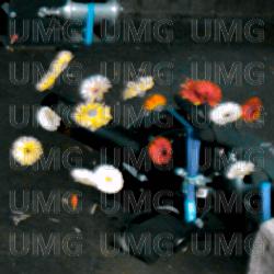 Grown On Me - Logic1000