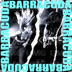 Barracuda - Miels