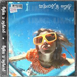 What's Up? - People R Ugly